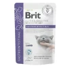 Brit VD® GF Cat Fillets in Gravy Pouches Gastrointestinal 85gr