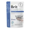 Brit VD® GF Cat Fillets in Gravy Pouches Recovery 85gr