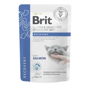 Brit VD® GF Cat Fillets in Gravy Pouches Recovery 85gr