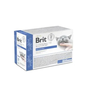 Brit VD® GF Cat Fillets in Gravy Pouches Recovery 85gr