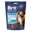 Brit Premium By Nature® Snacks Happy Lamb & Sea Buckthorn 180gr
