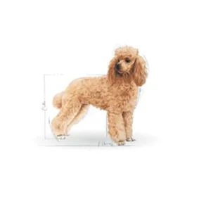 Royal Canin BHN Poodle Adult wet φακελάκι 85gr