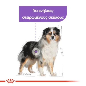 Royal Canin CCN Medium Dog Sterilized 12Kg