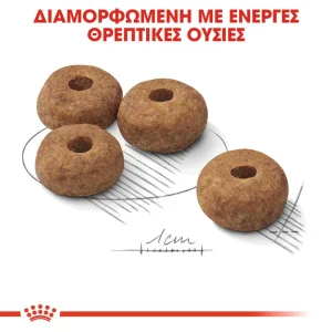 Royal Canin CCN Medium Dog Sterilized 3Kg