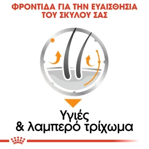 Royal Canin CCN Dog Coat Care φακελάκι 85gr