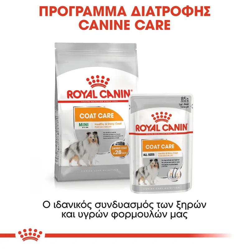 Royal Canin CCN Dog Coat Care φακελάκι 85gr