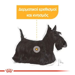 Royal Canin CCN Dog Dermacomfort φακελάκι 85gr