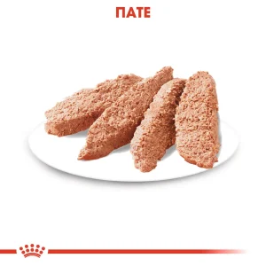 Royal Canin CCN Dog Dermacomfort φακελάκι 85gr
