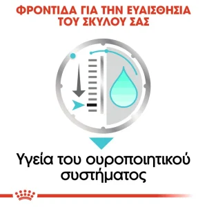 Royal Canin CCN Dog Urinary Care φακελάκι 85gr