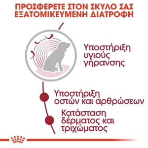 Royal Canin SHN Medium dog Ageing 10+ φακελάκι 140gr