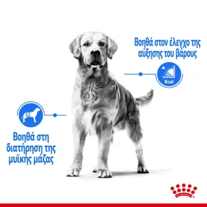 Royal Canin CCN Maxi dog Light Weight Care 12kg