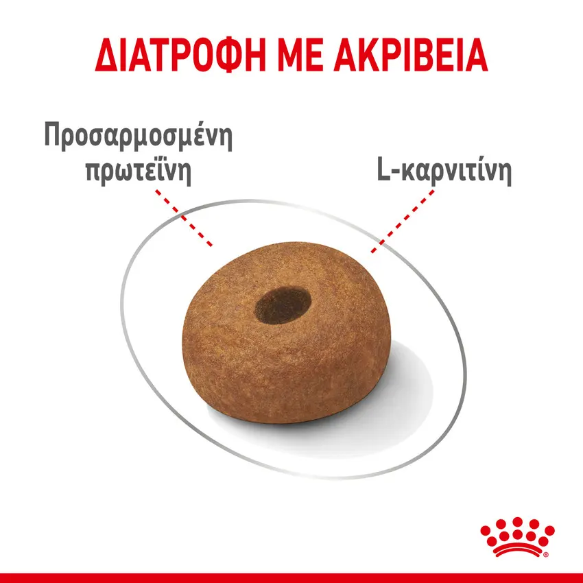 Royal Canin CCN Maxi Dog Light Weight Care 3kg