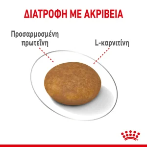 Royal Canin CCN X-Small Dog Light Weight Care 500gr