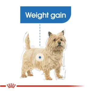 Royal Canin CCN Dog Light Weight Care φακελάκι 85gr