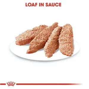 Royal Canin CCN Dog Light Weight Care φακελάκι 85gr