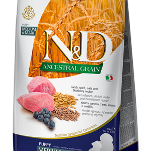 Farmina N&D Medium & Maxi τροφή κουταβιού προβειο κρέας - Πρωτεΐνη με μύρτιλα