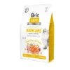 Brit Care® Cat GF Hair Care Salmon & Chicken 2kg