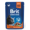 Brit Premium By Nature® Cat Pouches Salmon Sterilised 100gr